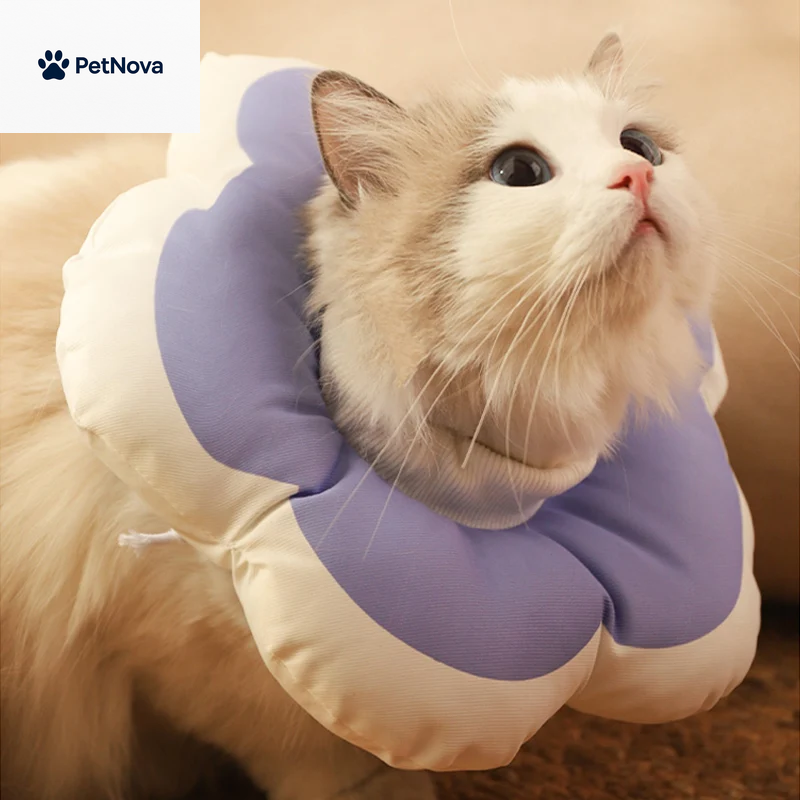 Comforting Cotton Pet Pillow