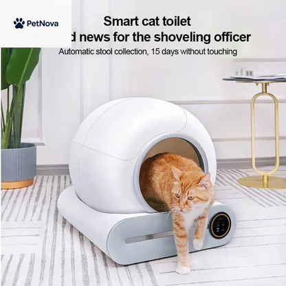 Automatic Self-Cleaning Cat Litter Box with Ionic Fragrance and App Control